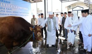 Muhidin Ajak Masyarakat Banua Tingkatkan Semangat Berkurban