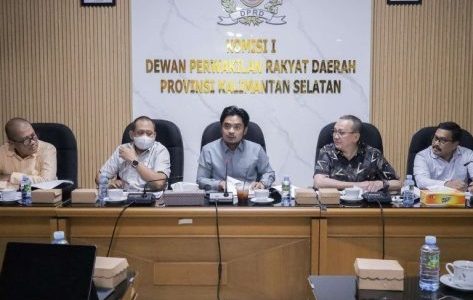 DPRD Dorong Layanan Digital Kalsel Makin Optimal