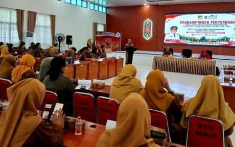 Percepat Pengembangan ASN BKPSDM Barut Susun Dokumen RPK-JMD