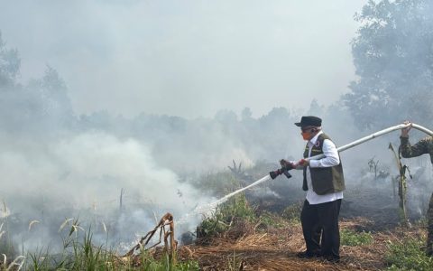 Penanganan Karhutla Guntung Damar Diperkuat Tim Gabungan