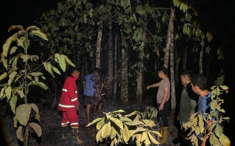 Lahan Karet Terbakar di Baruyan, Api Berhasil Dikendalikan