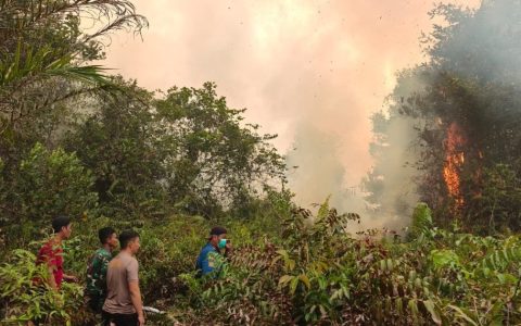 Tim Gabungan Sisir Titik Hotspot Karhutla di Karusen Janang